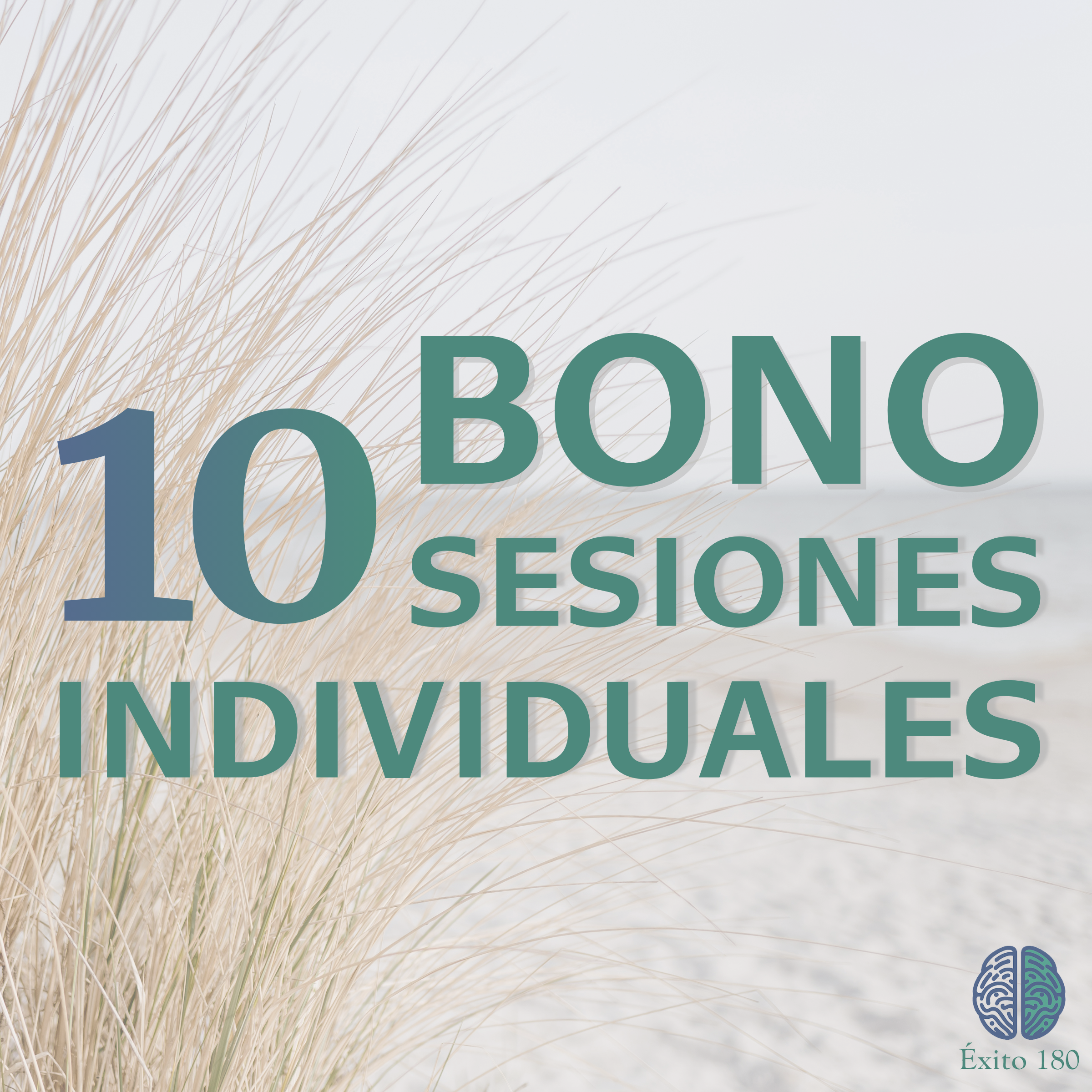 BONO 10 SESIONES INDIVIDUALES